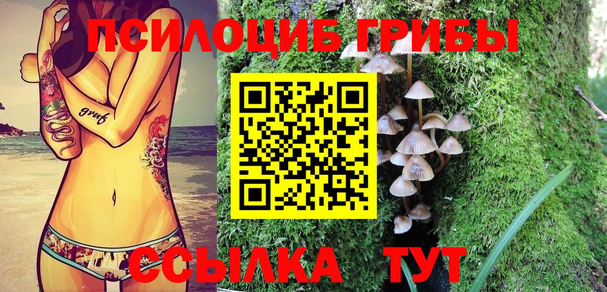 Галлюциногенные грибы мицелий Красноярск